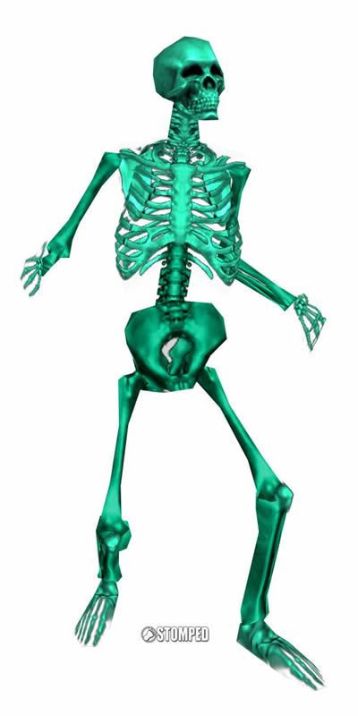 P_bones.jpg