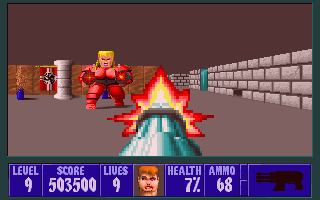 34071-wolfenstein-3d-dos-screenshot-this-gretel-would-just-not-be.gif