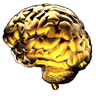 Golden-Brain.gif